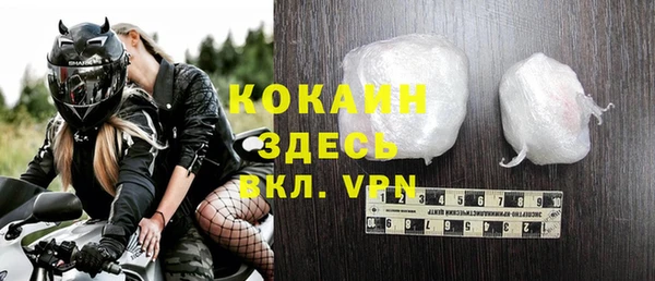 СК Новозыбков