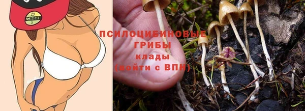 крисы Нефтекумск