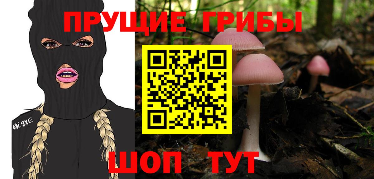 Качканар  Псилоцибиновые грибы мухоморы  Вход с VPN  Псилоцибиновые грибы GOLDEN TEACHER 